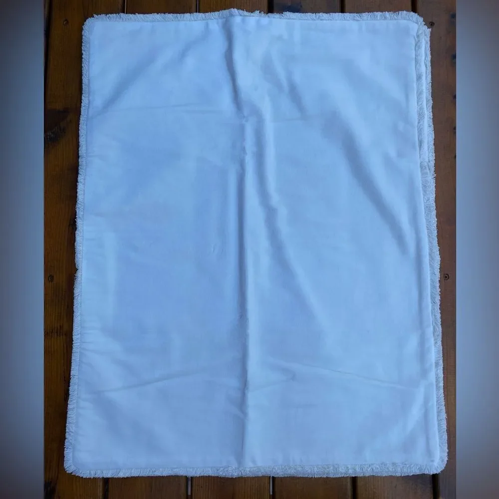 Pottery Barn Soft Velvet Feel Pillow Sham Set with Envelope Closure Standard